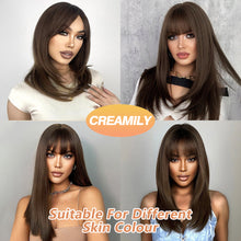 FH Long Hair Wig for Women Synthetich Hair Natural (Dark Brown 19
