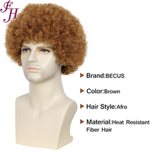 FH Brown Afro Wig -Men's 70s 80s Disco Wigs for Halloween & Cosplay   p14176