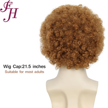 FH Brown Afro Wig -Men's 70s 80s Disco Wigs for Halloween & Cosplay   p14176