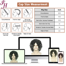 FH Afro Wigs - Grey Dreadlocks Short Twist Crochet Hair Synthetic Braided Wigs p14653
