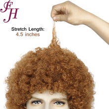 FH Brown Afro Wig -Men's 70s 80s Disco Wigs for Halloween & Cosplay   p14176