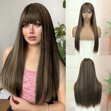 FH 23'' with Bangs Heat-resistant Synthetic Fiber Black Highlights Light Brown Wig P14981