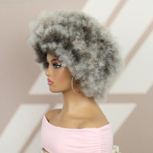 FH Afro Wigs for Women, Short Curly Afro Kinky Wig, Gray Bouncy Huge Fluffy Puff Wigs Synthetic P14337
