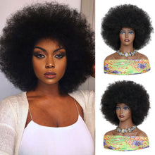 FH Afro Wigs for Black Women Fluffy Soft Premium Synthetic Hair Wigs (Natural Black) P13877