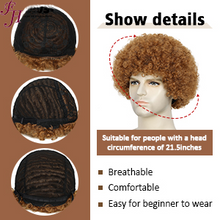 FH Brown Afro Wig -Men's 70s 80s Disco Wigs for Halloween & Cosplay   p14176