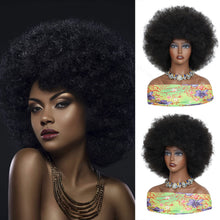 FH Afro Wigs for Black Women Fluffy Soft Premium Synthetic Hair Wigs (Natural Black) P13877