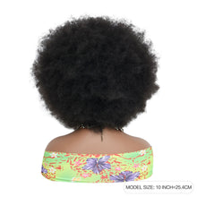FH Afro Wigs for Black Women Fluffy Soft Premium Synthetic Hair Wigs (Natural Black) P13877