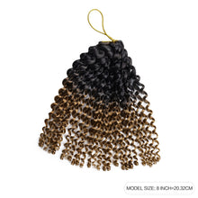 FH 8inch passion twist synthetic curly hair crochet braid hair-5 colors