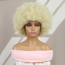 FH Afro Wigs for Women, Short Curly Afro Kinky Wig(#613 Blonde) P14338