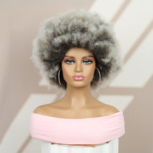 FH Afro Wigs for Women, Short Curly Afro Kinky Wig, Gray Bouncy Huge Fluffy Puff Wigs Synthetic P14337