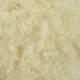 FH Afro Wigs for Women, Short Curly Afro Kinky Wig(#613 Blonde) P14338