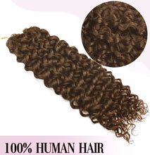 FH 100g/Pack Brown Water Wave Crochet Human Hair Extension Knotless Feather Human Hair