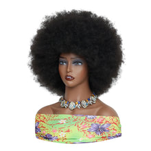 FH Afro Wigs for Black Women Fluffy Soft Premium Synthetic Hair Wigs (Natural Black) P13877