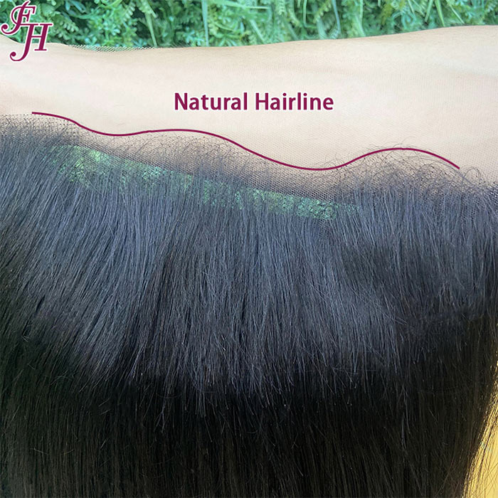 FH brazilian natural raw human hair wigs price 13x4 straight transparent lace frontal wig