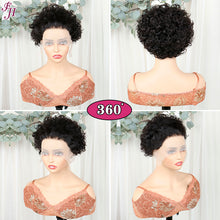 FH high quality Q14389 natural black lace frontal human hair wig