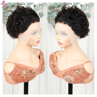 FH high quality Q14389 natural black lace frontal human hair wig